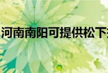 河南南陽可提供松下投影機維修服務(wù)地址在哪
