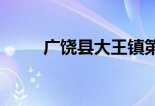 廣饒縣大王鎮(zhèn)第二小學的地址在哪