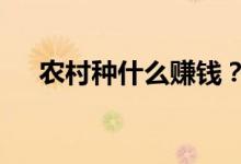 農(nóng)村種什么賺錢？（6個種植賺錢項目）