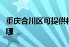 重慶合川區(qū)可提供松下投影機維修服務(wù)地址在哪