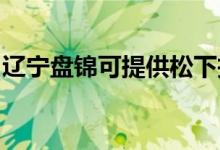 遼寧盤錦可提供松下投影機維修服務(wù)地址在哪