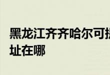 黑龍江齊齊哈爾可提供佳能投影機維修服務地址在哪