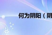 何為陰陽（陰陽到底為何物？）