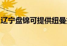 遼寧盤(pán)錦可提供紐曼投影機(jī)維修服務(wù)地址在哪