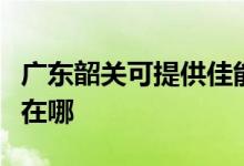廣東韶關(guān)可提供佳能激光打印機維修服務(wù)地址在哪