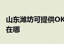 山東濰坊可提供OKI激光打印機維修服務地址在哪
