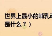 世界上最小的哺乳動(dòng)物（世界最小的哺乳動(dòng)物是什么？）
