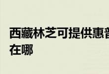 西藏林芝可提供惠普激光打印機維修服務(wù)地址在哪