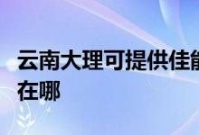 云南大理可提供佳能激光打印機維修服務(wù)地址在哪