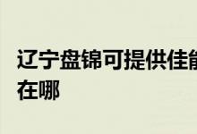 遼寧盤錦可提供佳能噴墨打印機維修服務地址在哪