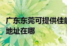 廣東東莞可提供佳能便攜照片打印機維修服務地址在哪