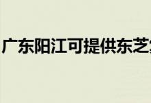 廣東陽江可提供東芝復印機維修服務地址在哪