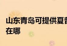 山東青島可提供夏普數(shù)碼復合機維修服務地址在哪