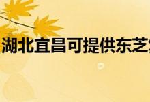 湖北宜昌可提供東芝復印機維修服務地址在哪