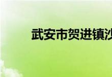 武安市賀進鎮(zhèn)沙名中學的地址在哪