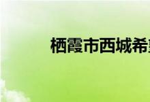 棲霞市西城希望小學的地址在哪