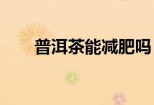 普洱茶能減肥嗎？生茶和熟茶哪個好