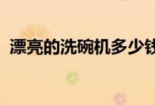 漂亮的洗碗機多少錢？漂亮的洗碗機好用嗎
