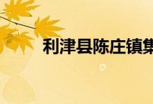利津縣陳莊鎮(zhèn)集賢小學的地址在哪