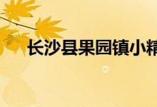 長(zhǎng)沙縣果園鎮(zhèn)小精靈幼兒園的地址在哪