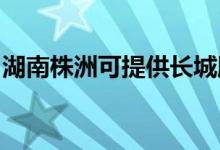 湖南株洲可提供長城服務器維修服務地址在哪