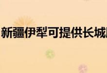新疆伊犁可提供長城服務器維修服務地址在哪
