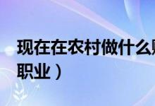 現(xiàn)在在農(nóng)村做什么賺錢（農(nóng)村9個(gè)比較賺錢的職業(yè)）