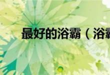 最好的浴霸（浴霸哪個(gè)牌子質(zhì)量好？）