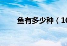 魚(yú)有多少種（100種常見(jiàn)魚(yú)類(lèi)名稱(chēng)）