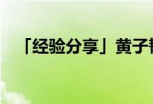 「經(jīng)驗分享」黃子韜多大了 黃子韜幾歲了