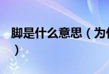 腳是什么意思（為什么偏偏叫腳不叫澳門腳？）