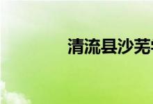 清流縣沙蕪學校的地址在哪