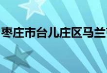 棗莊市臺(tái)兒莊區(qū)馬蘭屯鎮(zhèn)板橋小學(xué)的地址在哪