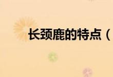 長(zhǎng)頸鹿的特點(diǎn)（長(zhǎng)頸鹿的特點(diǎn)習(xí)性）