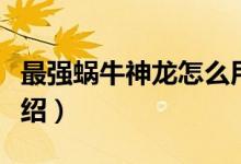 最強蝸牛神龍怎么用（最強蝸牛神龍怎么用介紹）