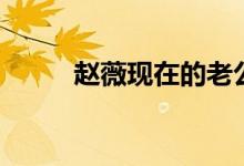 趙薇現(xiàn)在的老公是誰(shuí)（哪一年的）