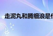 走泥丸和騰細(xì)浪是什么寫作手法（走泥丸）