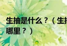 生抽是什么？（生抽、老抽、醬油……區(qū)別在哪里？）