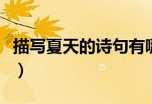 描寫(xiě)夏天的詩(shī)句有哪些（有關(guān)夏天的詩(shī)句匯總）