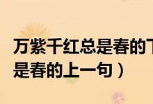 萬(wàn)紫千紅總是春的下一句是什么（萬(wàn)紫千紅總是春的上一句）