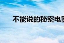 不能說的秘密電影解析（劇情是什么）