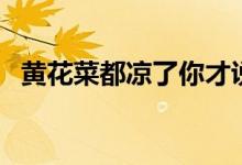 黃花菜都涼了你才說(shuō)愛(ài)我（黃花菜都涼了）