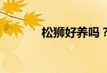 松獅好養(yǎng)嗎？松獅的保養(yǎng)方法