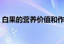 白果的營養(yǎng)價(jià)值和作用（白果的作用的哪些）
