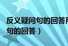 反義疑問句的回答用yes或no練習（反義疑問句的回答）