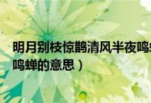明月別枝驚鵲清風半夜鳴蟬的解釋（明月別枝驚鵲清風半夜鳴蟬的意思）