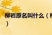 柳巖原名叫什么（柳巖什么時(shí)候進(jìn)入演藝圈的）