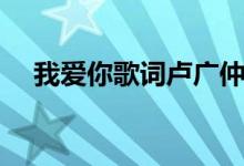我愛(ài)你歌詞盧廣仲（我愛(ài)你的歌曲簡(jiǎn)介）