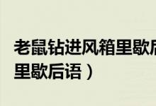 老鼠鉆進風(fēng)箱里歇后語的意思(老鼠鉆進風(fēng)箱里歇后語)