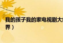 我的孩子我的家電視劇大結局（幺叔決定帶幺嬸出去周游世界）